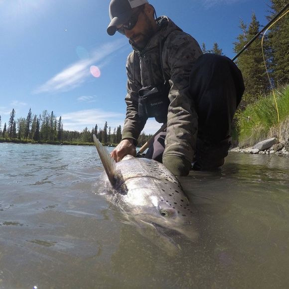 Meet your Posher, David - Picture 1 of 1